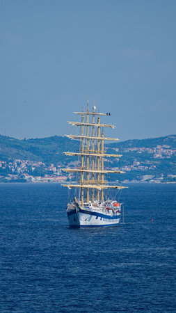 Sailboats and yachts in the sea