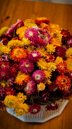 Red and yellow flowers in the potの写真素材