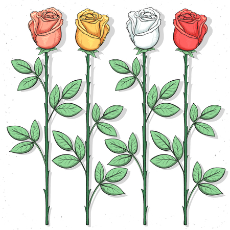 Isolated roses handmade in sketch style. Sketch of flower. Color rose for design cards and posters, collages and presentations, web design, background. Retro design. Vintage style. Pastel colors.のイラスト素材