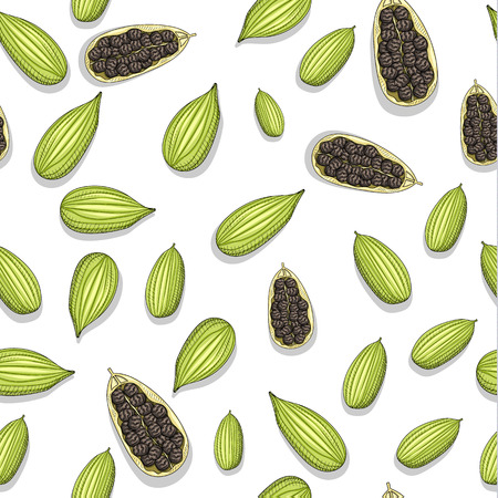 Seamless pattern with sketch cardamom . Painted cardamom . Pattern tiles with cardamom . Culinary herbs . The fruits of the plant . Seasoning for food . Eastern cuisine.のイラスト素材