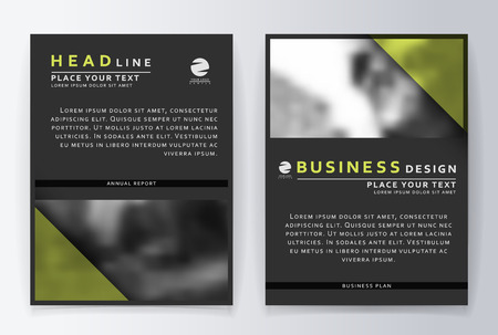 layout design template. Annual report brochure. Business flyer design template. Business paper. Leaflet cover presentation layout in A4 size.のイラスト素材