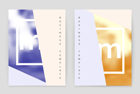 Layout design template, annual report brochure. Business flyer design template.のイラスト素材