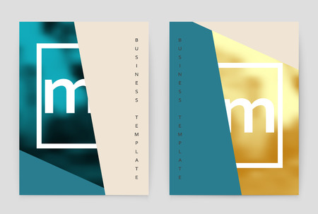 Layout design template, annual report brochure. Business flyer design template.のイラスト素材