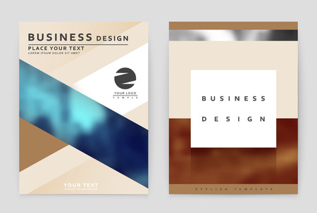 Layout design template, annual report brochure. Business flyer design template.のイラスト素材