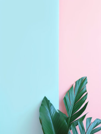 Creative layout made of tropical leaves on blue and pink background. Flat lay, top view minimal summer concept.の素材