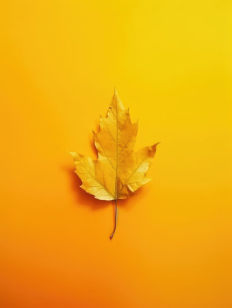 Colorful autumn background with leaves. generative aiの素材