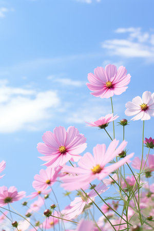 Spring wildflowers. Summer flowers bloom.の素材