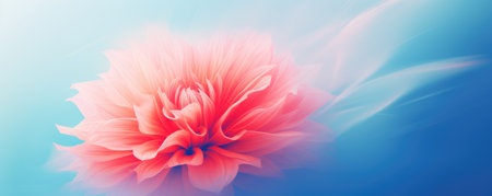 Abstract romantic beautiful background with flowers for Valentine's Day holiday. Horizontal banner web poster, header for websiteの素材