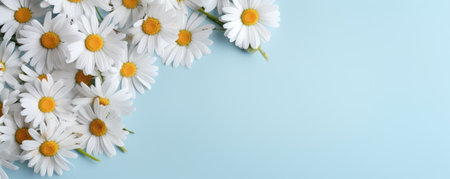 Spring flowers chamomile. Bouquet of flowers on pastel background. Valentine's Day, Easter, Birthday, Happy Women's Day, Mother's Day. Flat lay, top view, copy space for textの素材