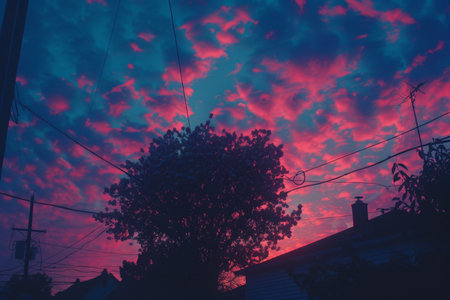 summer backgroundの素材