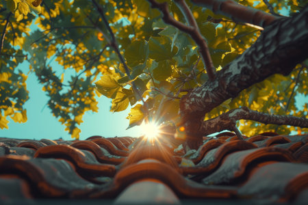 summer backgroundの素材