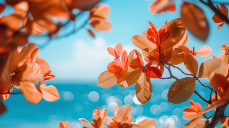 summer sea backgroundの素材