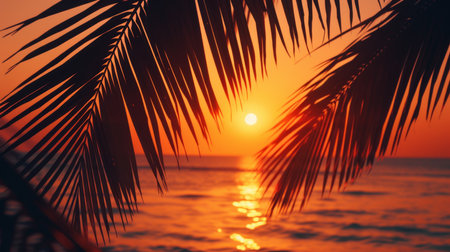 summer sea backgroundの素材