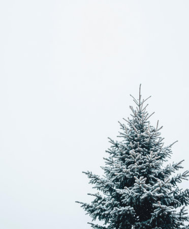 Snow-covered Christmas tree in winter wonderland, serene holiday scene.の素材
