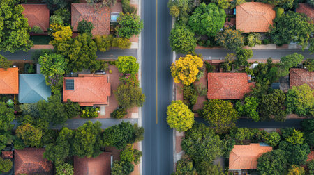Aerial perspective showcasing a tree-lined street flanked by residential houses, illustrating the harmony between nature and urban living,.の素材