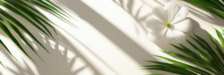 A white flower rests against a white wall, surrounded by vibrant green leaves,.の素材