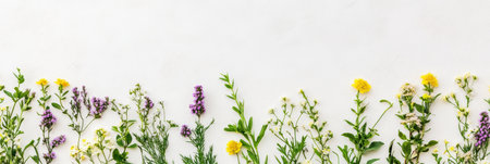 A variety of colorful flowers displayed on a white surface,.の素材