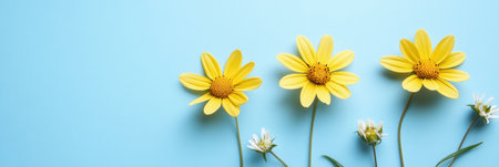 Three vibrant yellow flowers displayed on a bright blue surface,.の素材