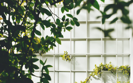 A plant emerges from a window, symbolizing growth and resilience in an urban setting.,の素材