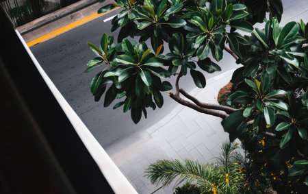 A street scene seen through a window in a building, showcasing urban life and architecture.,の素材
