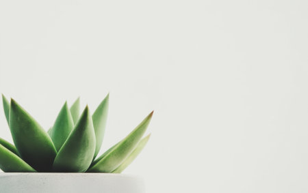 Small plant in a white pot placed on a table, adding a touch of greenery to the space.,の素材
