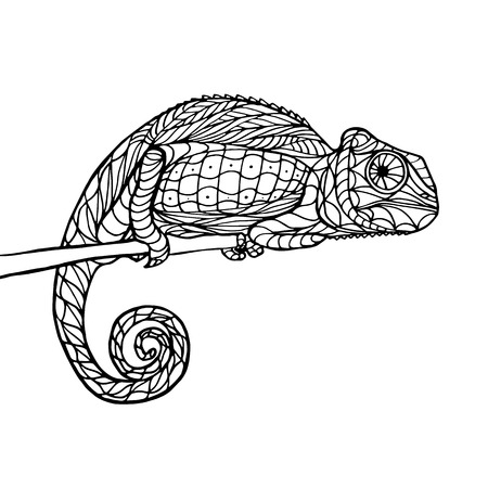 Zen tangle magic chameleon sitting on branch, for adult anti stress Coloring Page with high details isolated on white background, hand drawn illustration. Vector monochrome sketch.のイラスト素材
