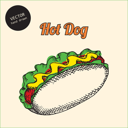 Vector hot dog. Background consist of colored hot dog. Sketch art style.のイラスト素材
