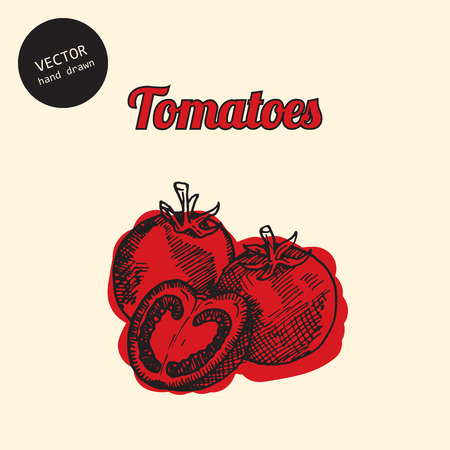 Vector tomatoes. Background consist of colored tomatoes. Sketch art style.のイラスト素材