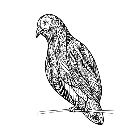 Zen tangle of dove sitting on a branch, for adult anti stress Coloring Page with high details isolated on white background, hand drawn illustration.のイラスト素材