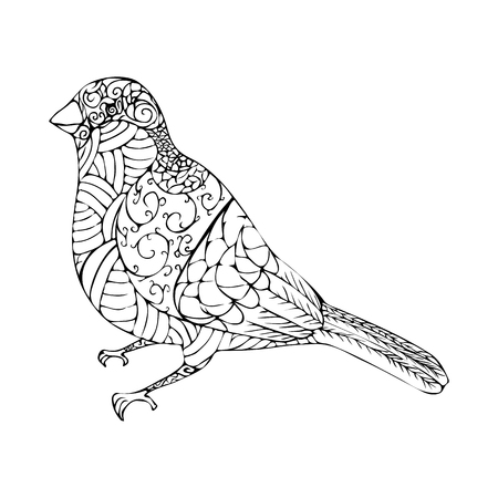 illustration of abstract bullfinch with lines and curves.のイラスト素材