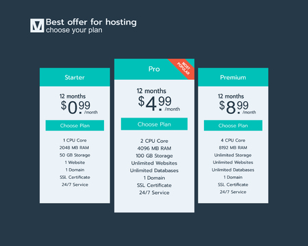 Design Template for Pricing Table in Flat Design Style for Websites and Applications. Vector illustration concept.のイラスト素材