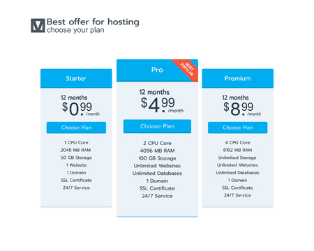 Design Template for Pricing Table in Flat Design Style for Websites and Applications. Vector illustration concept.のイラスト素材