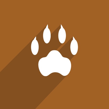 paw web icon.の写真素材