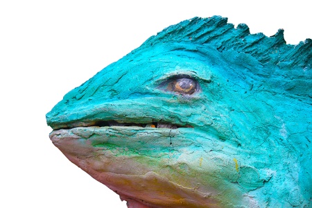 Model chameleon it very big and same.の写真素材