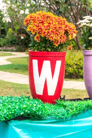 The Word W on red flowerpot in tulips park.の写真素材