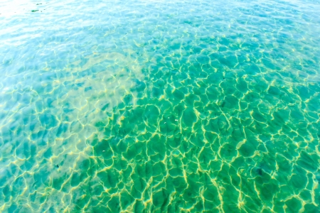 Water of sea it is have green colour.の写真素材