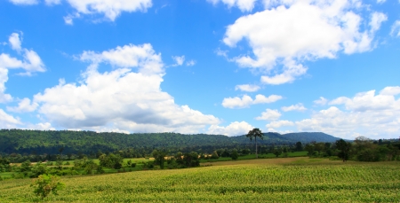 Road go to mountrain and sky coolの写真素材