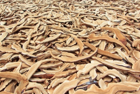 Dried mushrooms make in farm for saleの写真素材