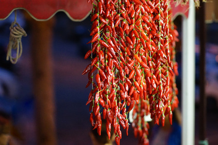 Burning italian chili Calabria Tropeaの写真素材