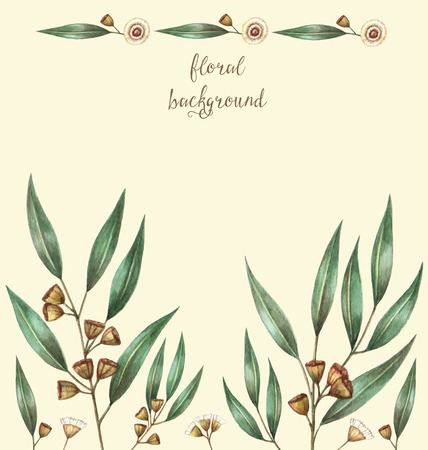 Watercolor eucalyptus leaves and branches. Vector illustration.のイラスト素材