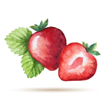 Watercolor strawberry isolated on white background. Vector illustration.のイラスト素材
