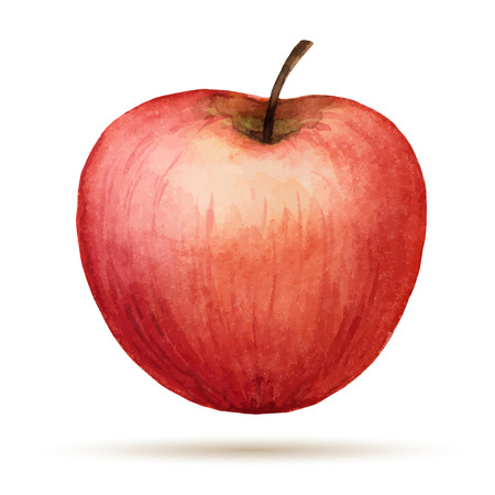 Watercolor Apple, vector illustration isolated on white background., vector illustration isolated on white background.のイラスト素材