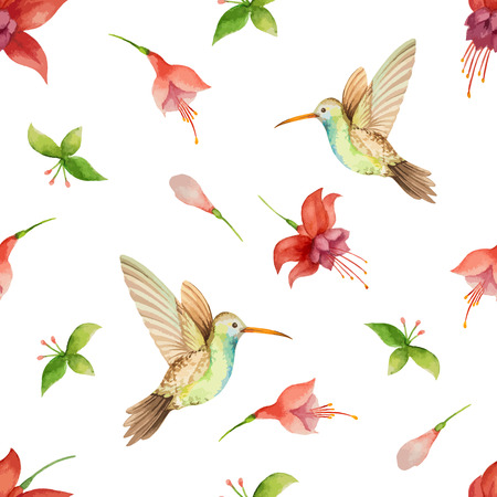 Watercolor pattern, fuchsia flowers and Hummingbird on white background, vector illustration.のイラスト素材