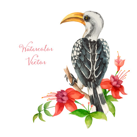 African Toko yellow beak sitting on a branch, watercolor vector illustration.のイラスト素材