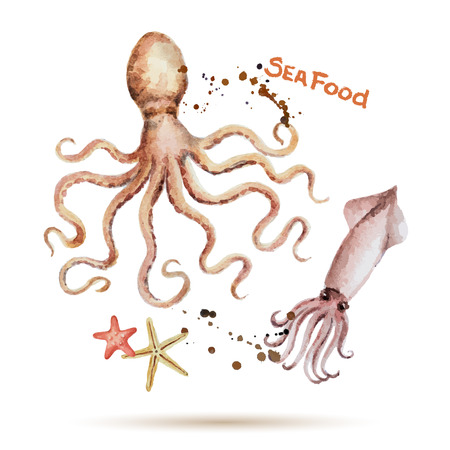 Watercolor octopus and squid. Fresh organic seafood. Vector illustration.のイラスト素材
