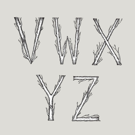 Hand drawn alphabet in the form of tree branches.のイラスト素材