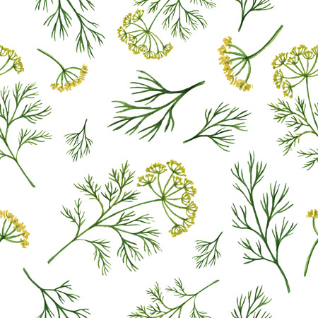 Watercolor vector seamless pattern hand drawn herb dill . Watercolor leaves and branches of dill on a white background. Herbs for packaging design, cards, postcards and book illustrations.のイラスト素材
