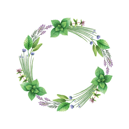 Watercolor vector hand painted frame with herbs and spices. The perfect design for greeting card, skrabbuking, menus, packaging, kitchen decor, cosmetics, natural and organic products. Round frame with space for text.のイラスト素材