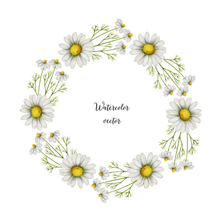 Watercolor vector round frame of chamomile. Healing Herbs for design Natural Cosmetics, aromatherapy, medicine, health products and homeopathy.のイラスト素材