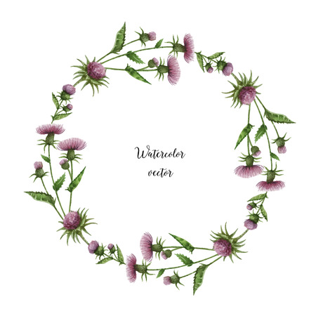 Watercolor vector round frame of milk Thistle. Healing Herbs for design Natural Cosmetics, aromatherapy, medicine, health products and homeopathy.のイラスト素材
